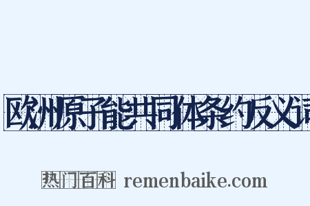 欧洲原子能共同体条约反义词是什么意思的图片